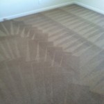 Delray Beach -Carpet-Cleaning-Wall-To-Wall