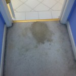 Delray Beach -Vomit-1-before-carpet
