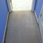 Delray Beach -Vomit-2-after-carpet