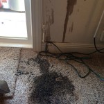 Oil-Stain-Removal-Before-Delray Beach
