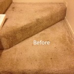 Stairs-Carpet-Cleaning-Delray Beach -A