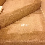 Stairs-Carpet-Cleaning-Delray Beach -B