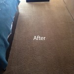 ink stain removal Delray Beach -B